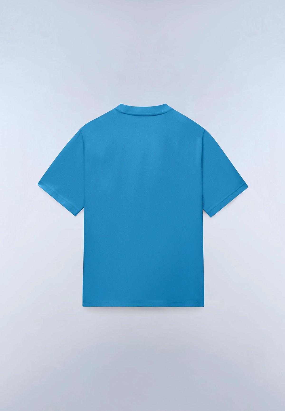 Blue Cyaneus