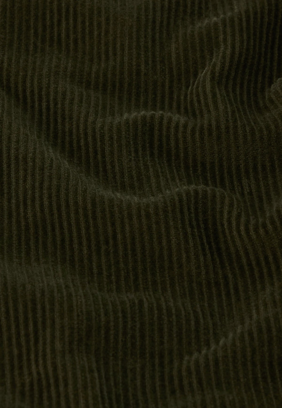Green Olive Night