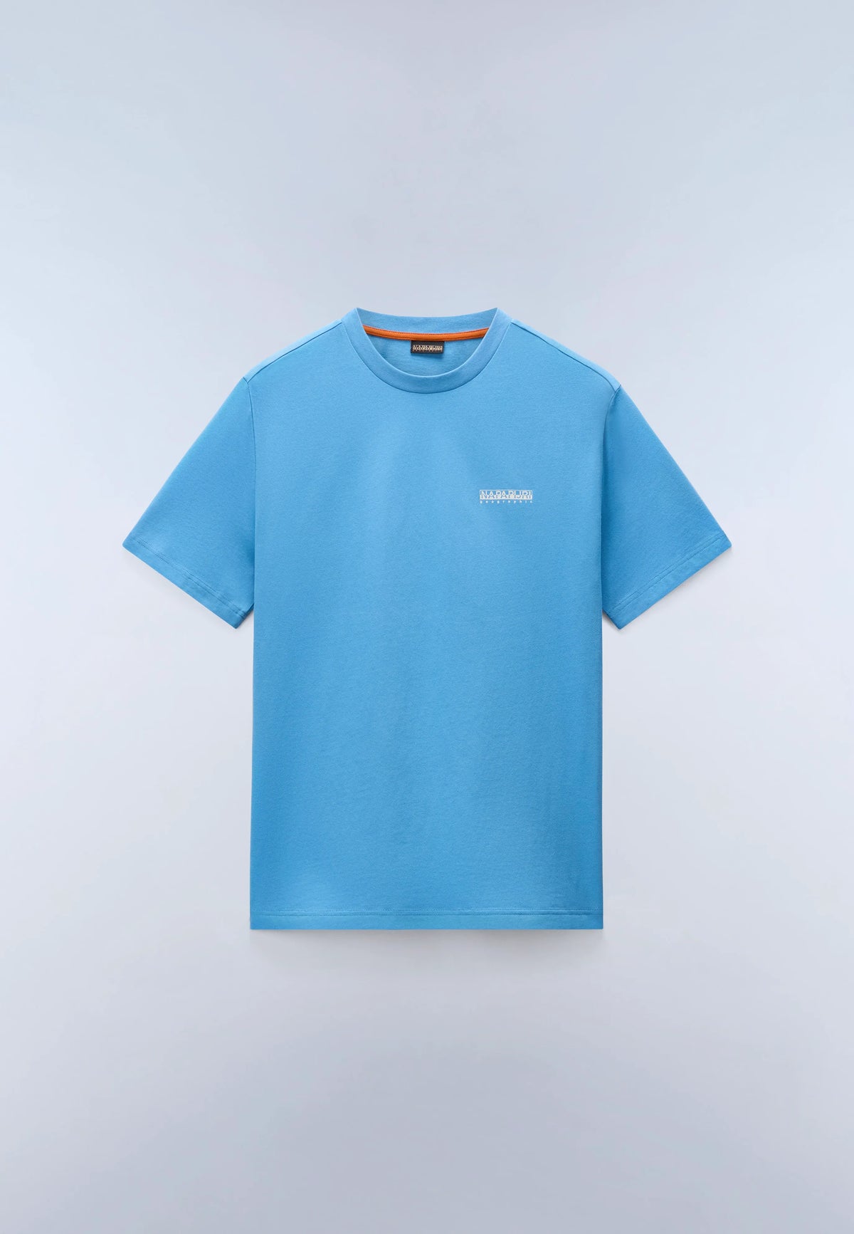 Blue Cyaneus