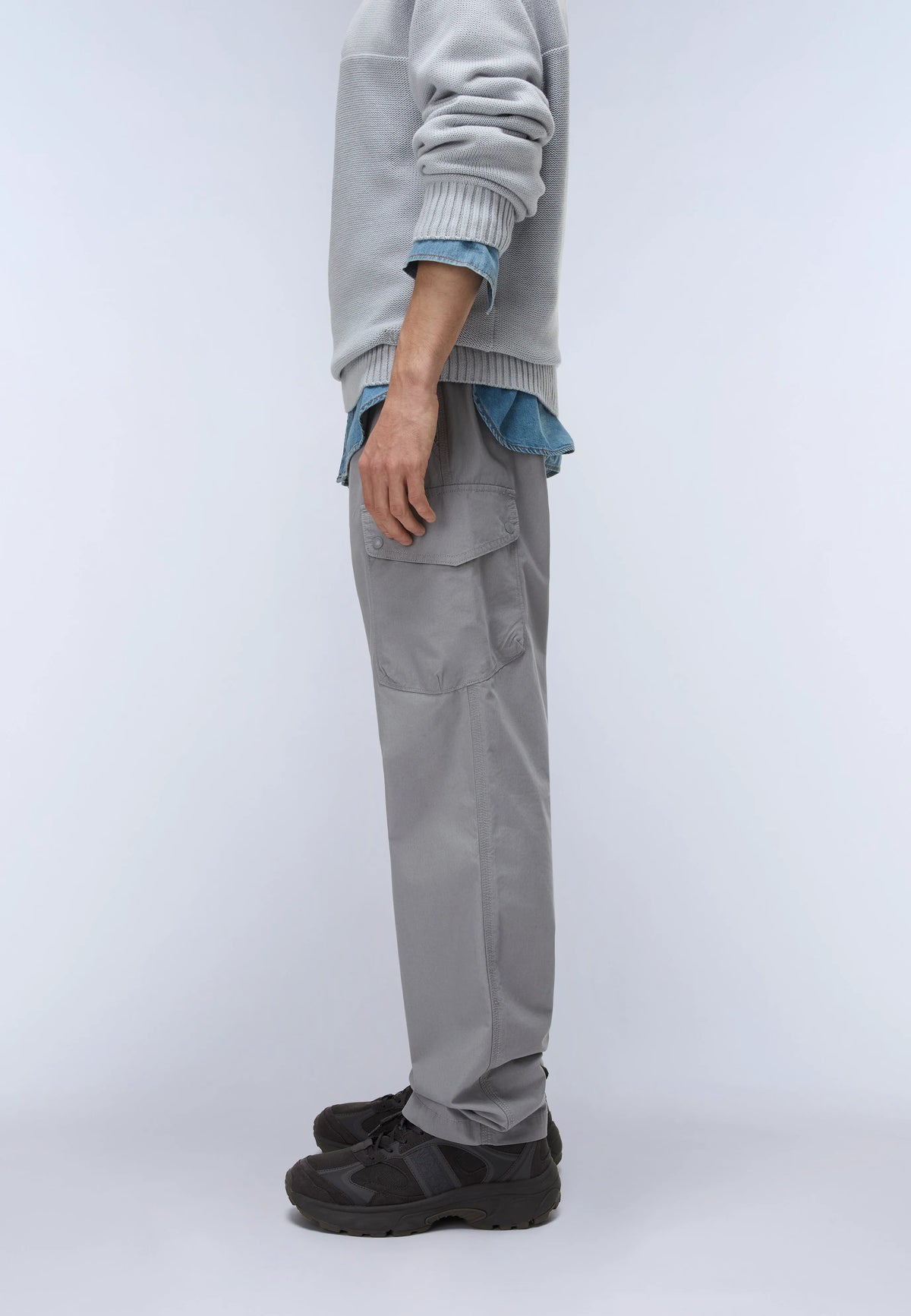 Grey Shark