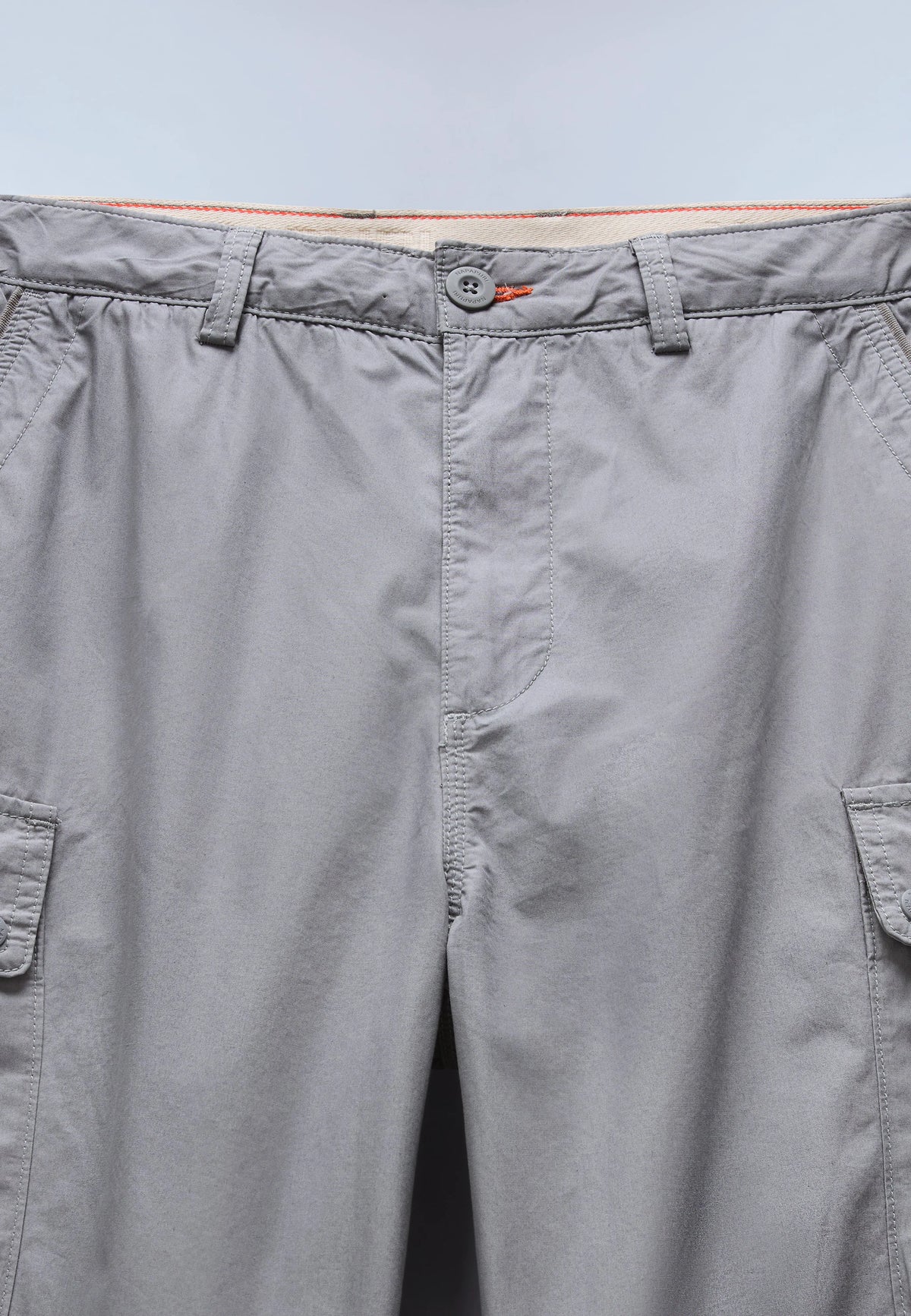 Grey Shark