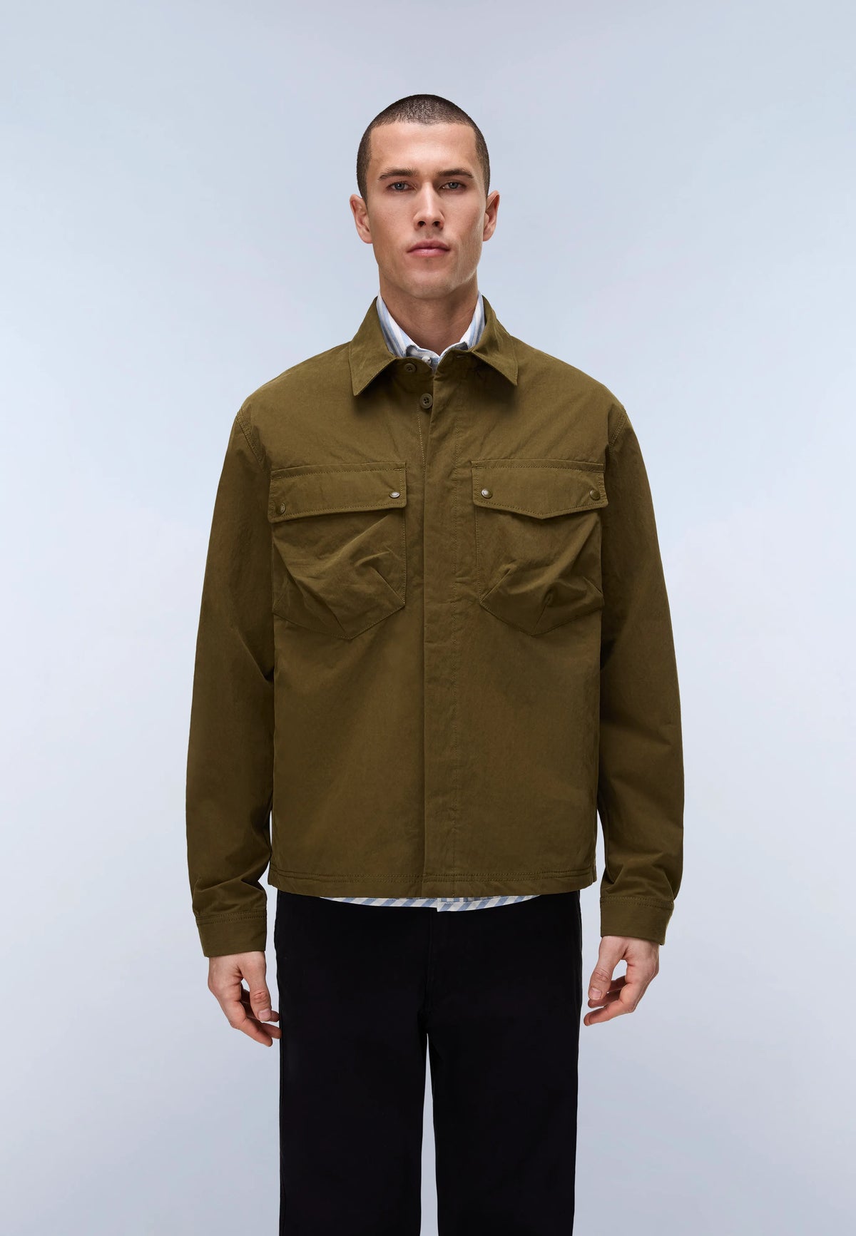 Dark Green Olive