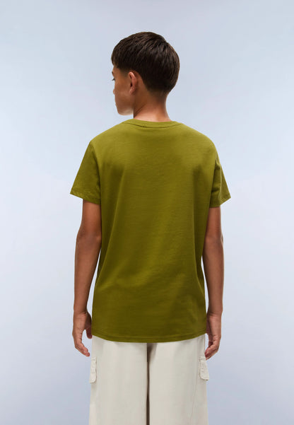 Green Avocado