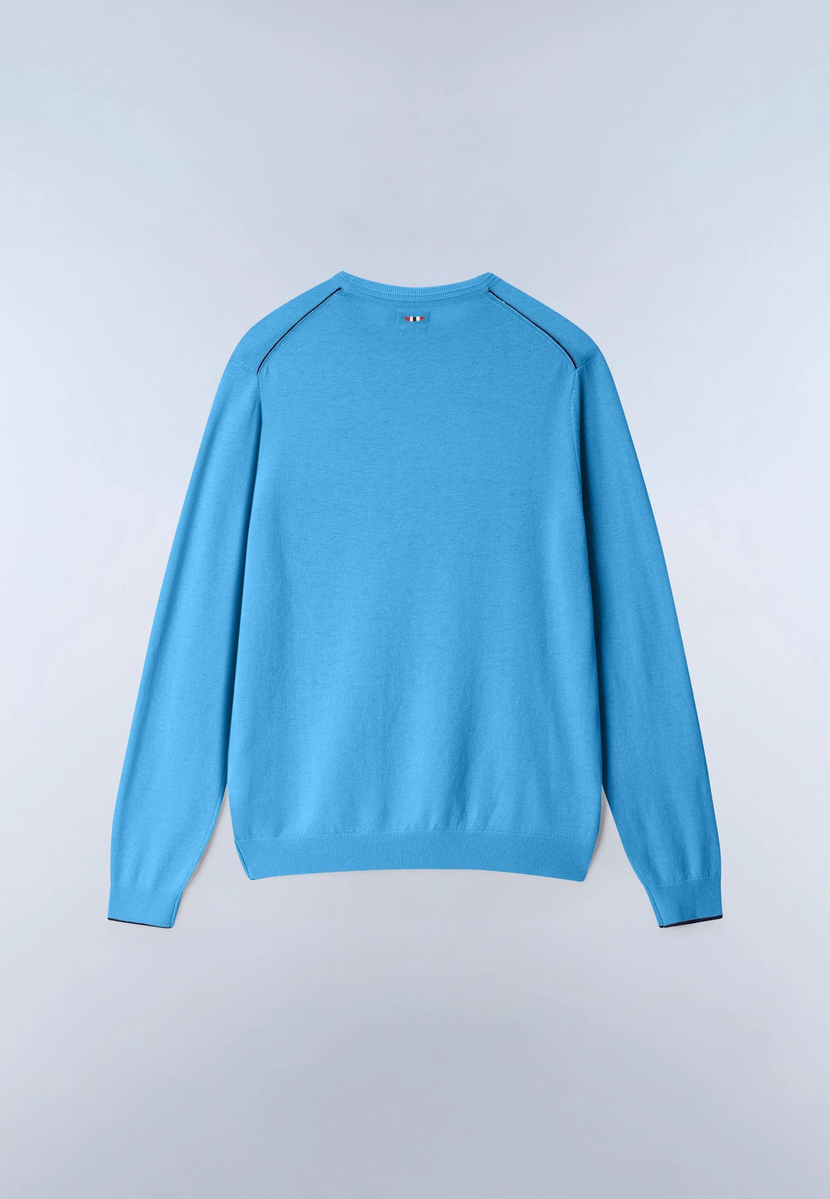 Blue Cyaneus