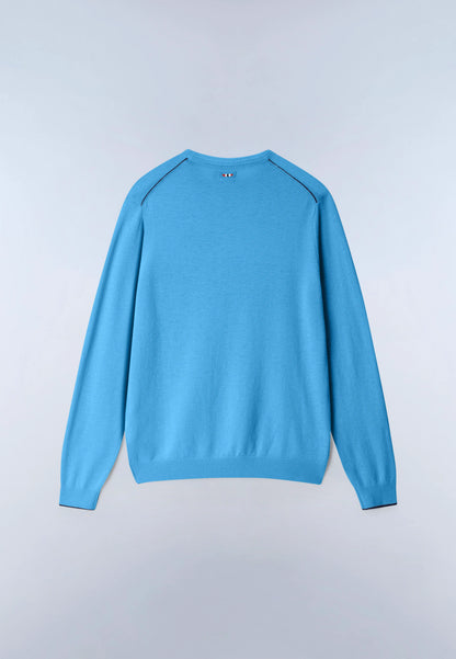 Blue Cyaneus