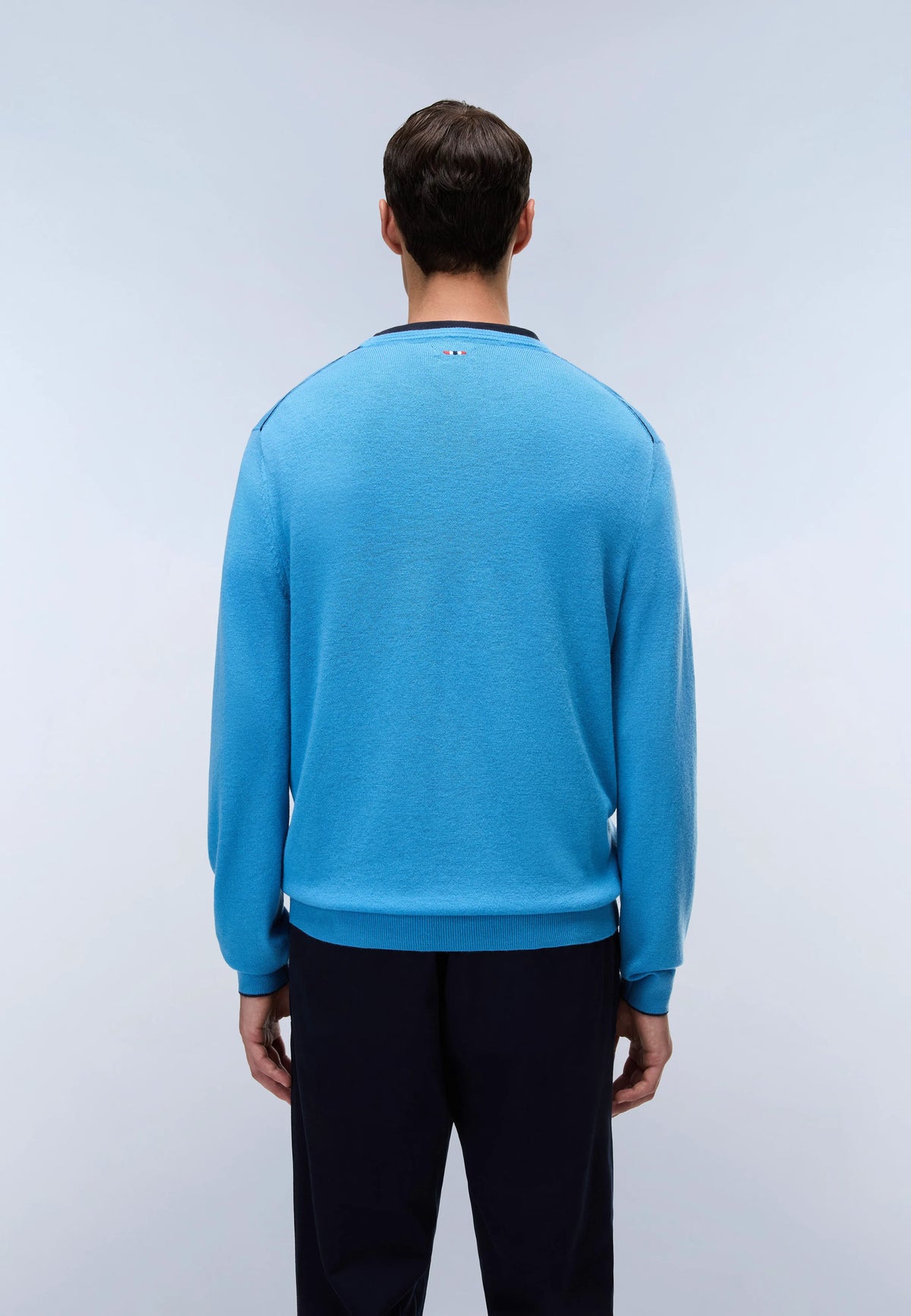 Blue Cyaneus