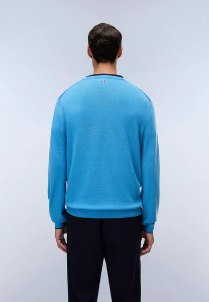 Blue Cyaneus