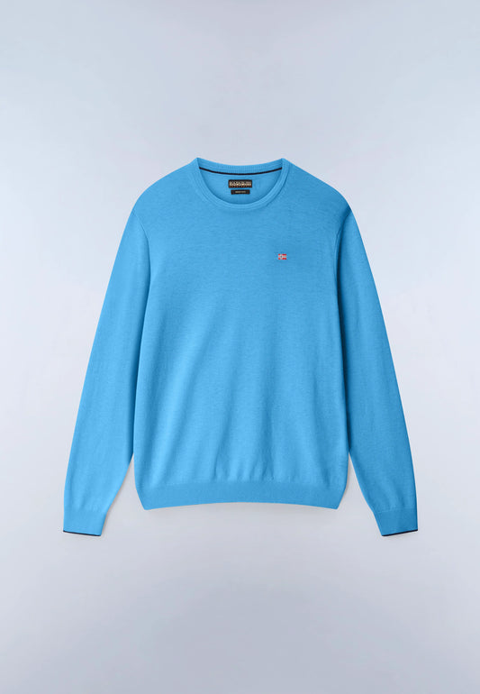 Blue Cyaneus