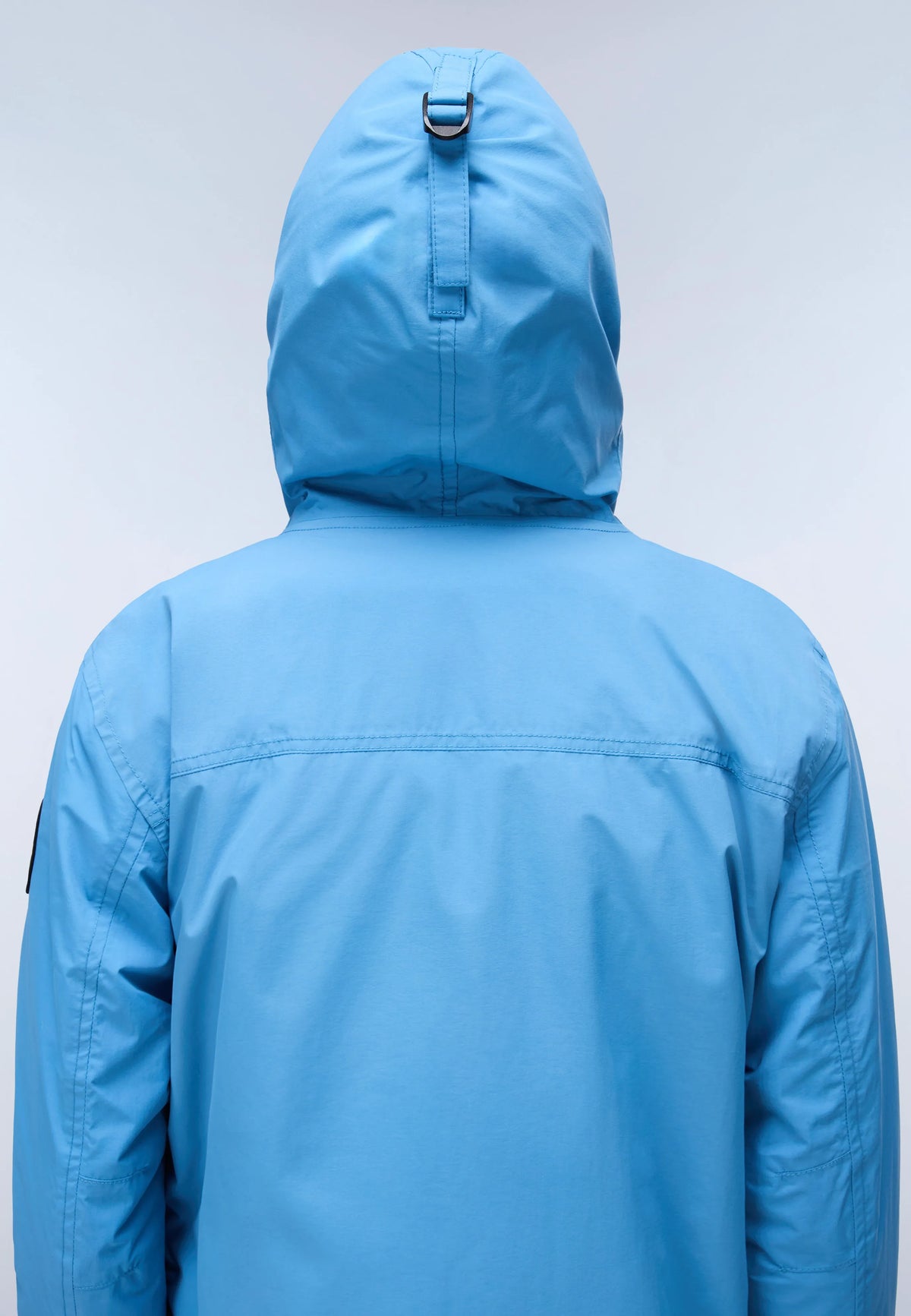 Blue Cyaneus