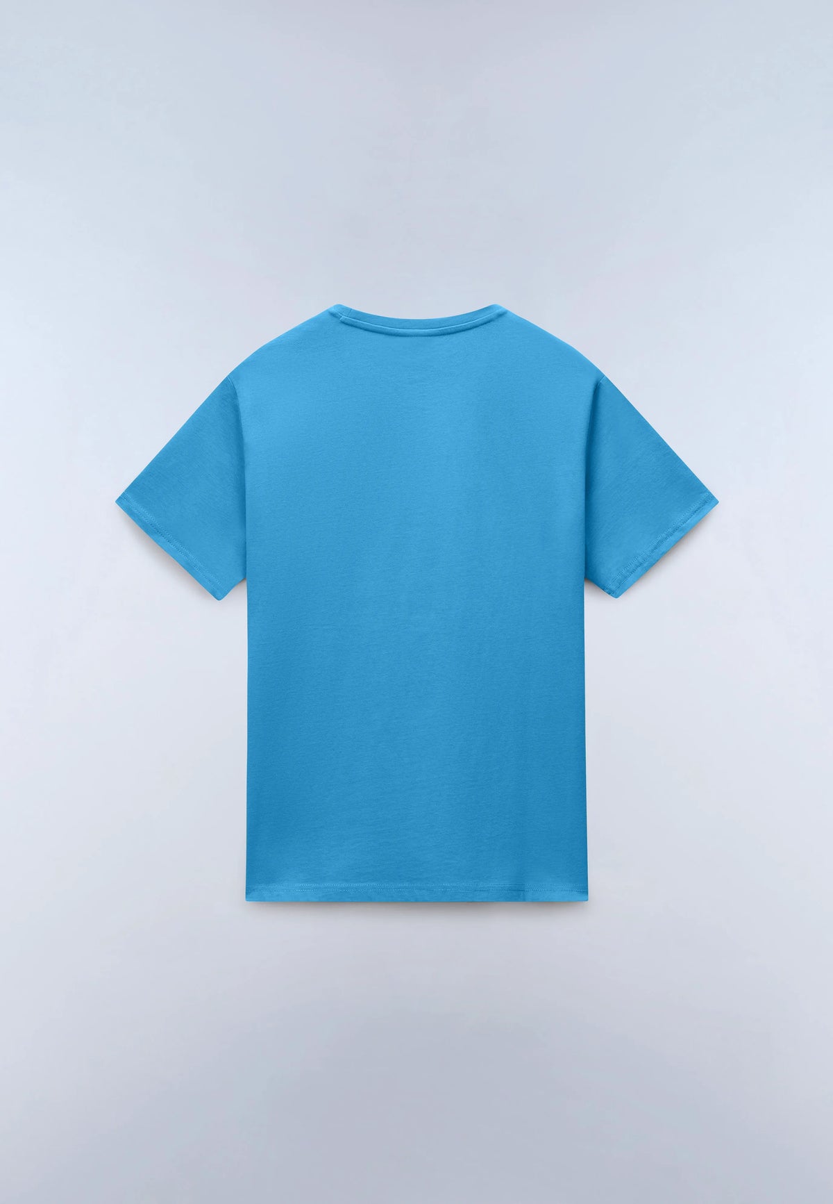 Blue Cyaneus