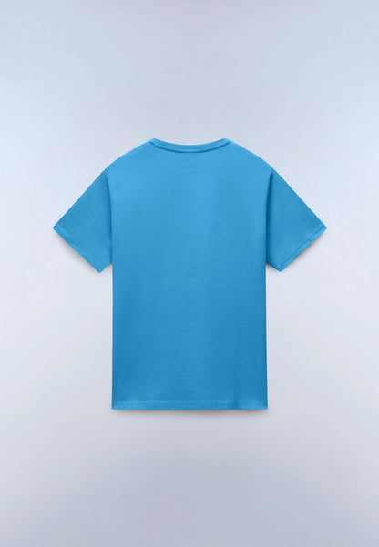 Blue Cyaneus