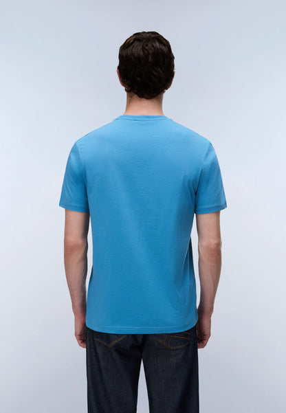 Blue Cyaneus