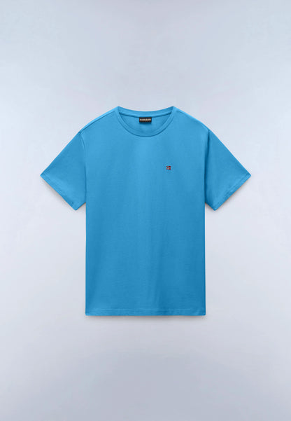 Blue Cyaneus