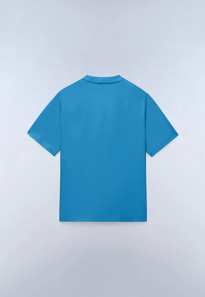 Blue Cyaneus