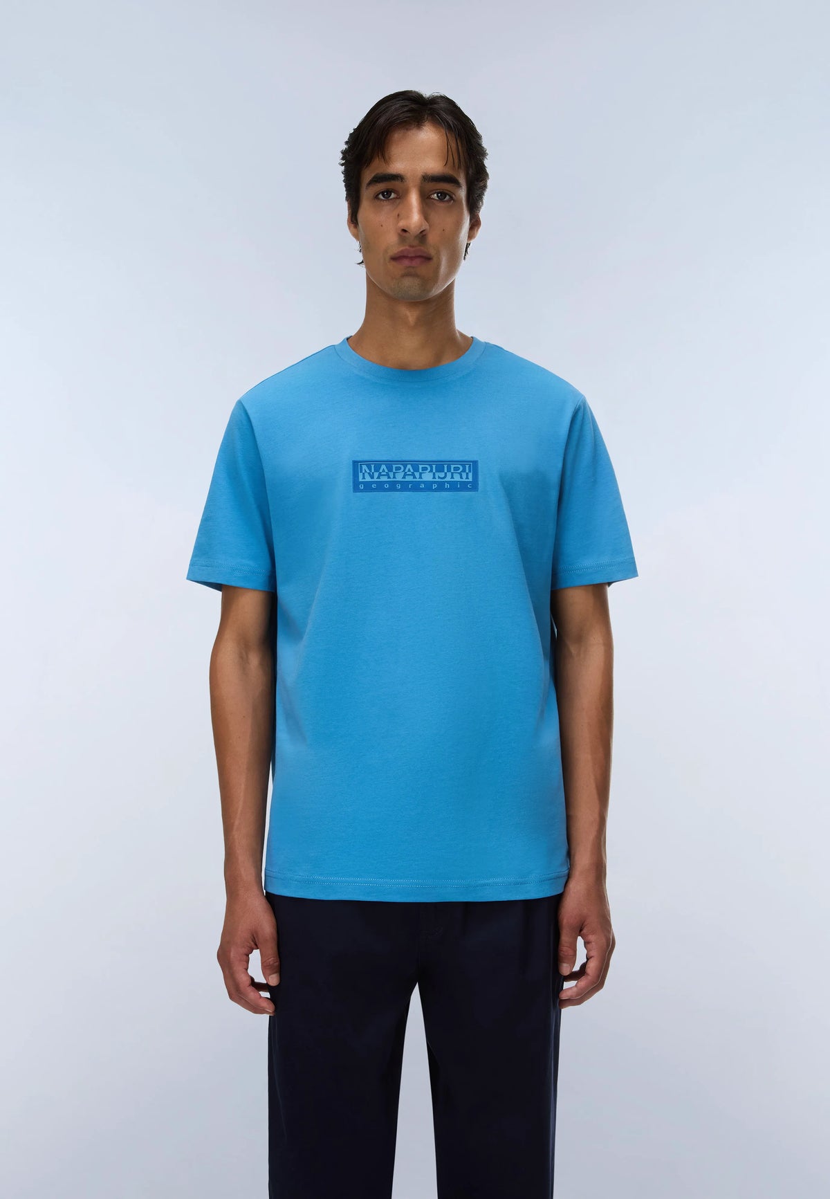 Blue Cyaneus