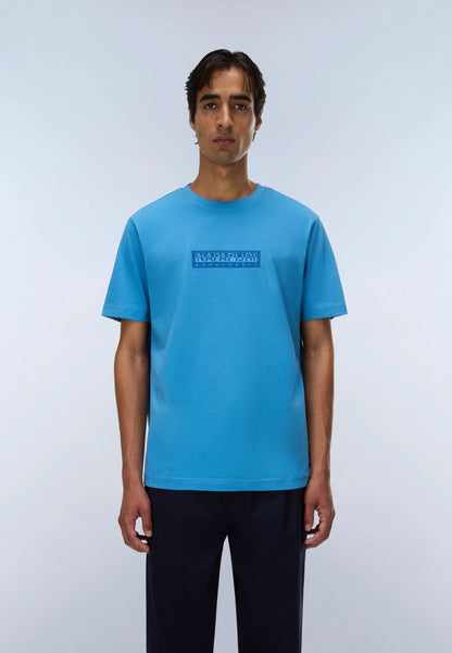 Blue Cyaneus