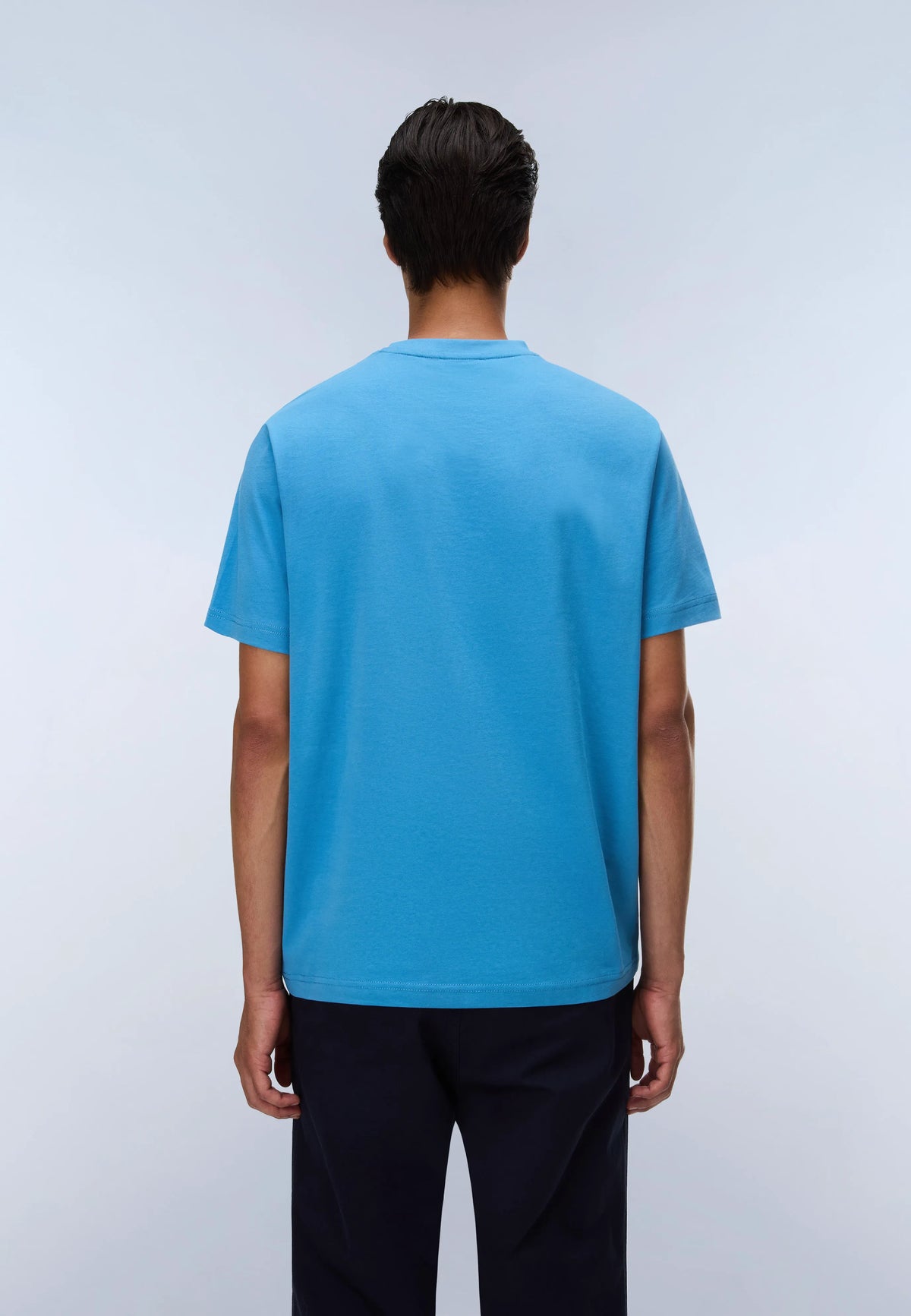 Blue Cyaneus