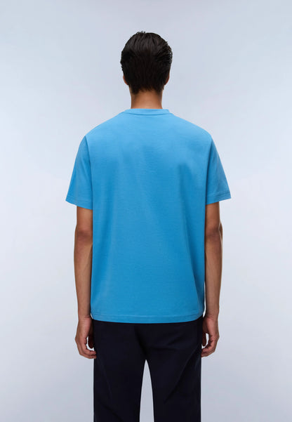 Blue Cyaneus