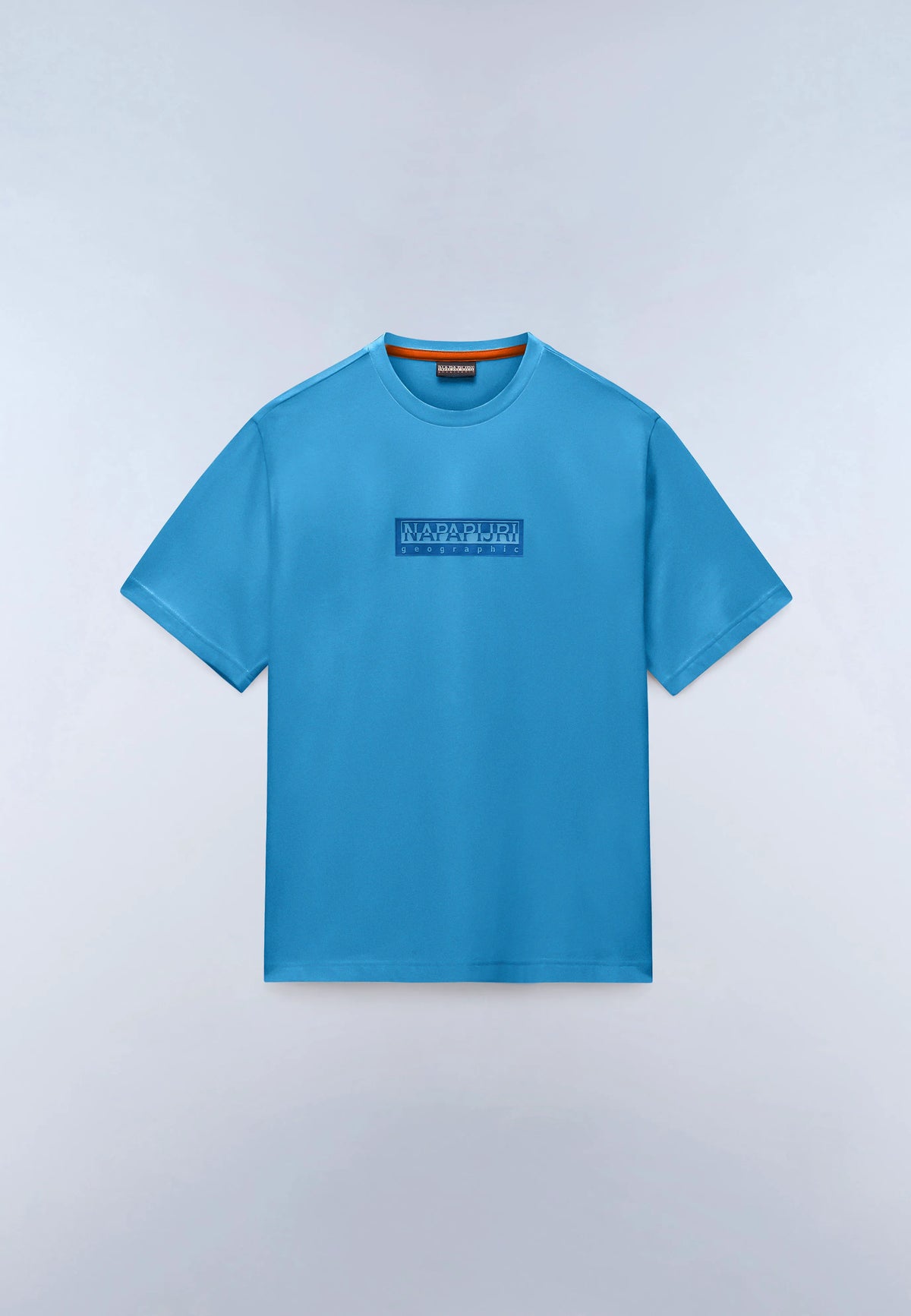 Blue Cyaneus