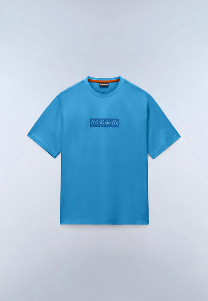 Blue Cyaneus