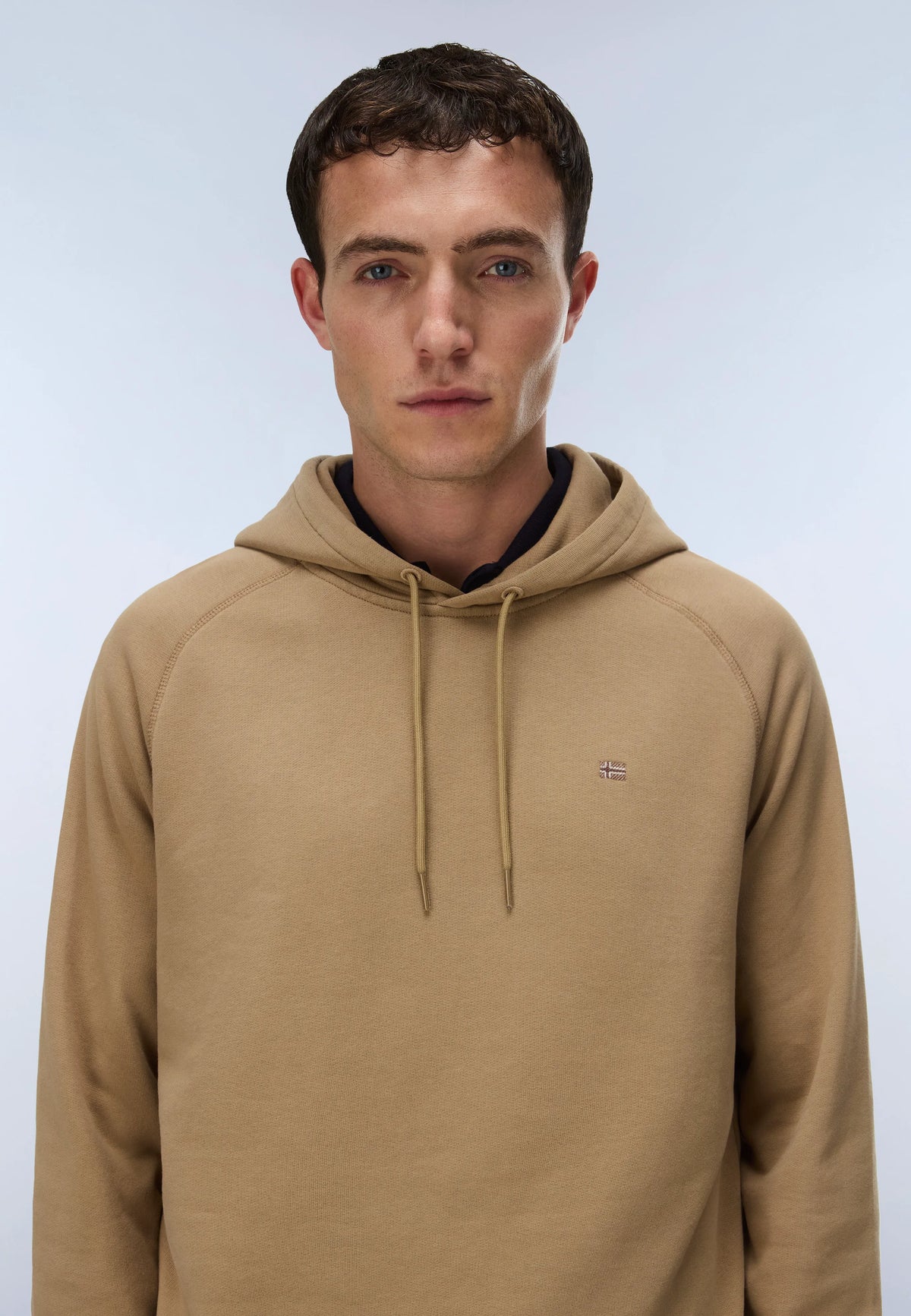 Beige Petrified Oak