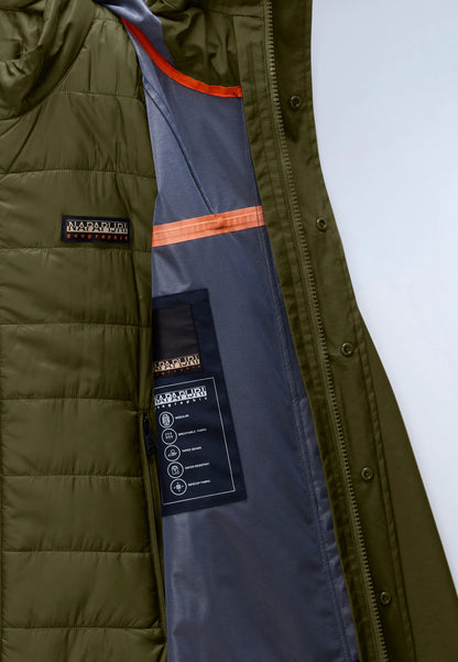 Green Olive Night