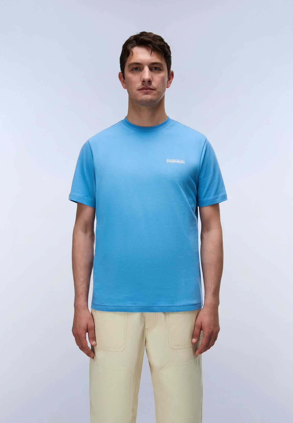 Blue Cyaneus