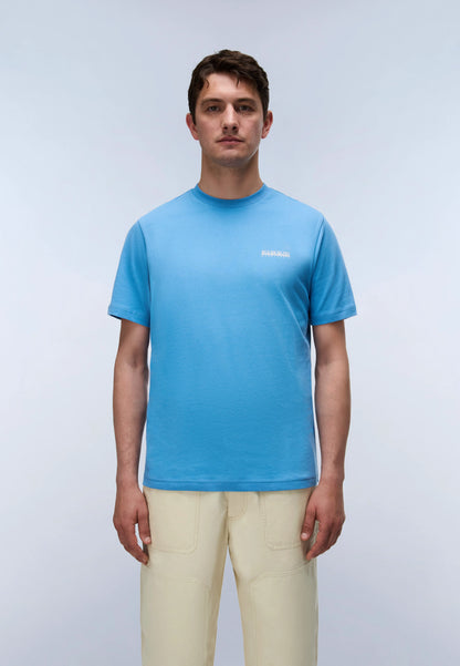 Blue Cyaneus