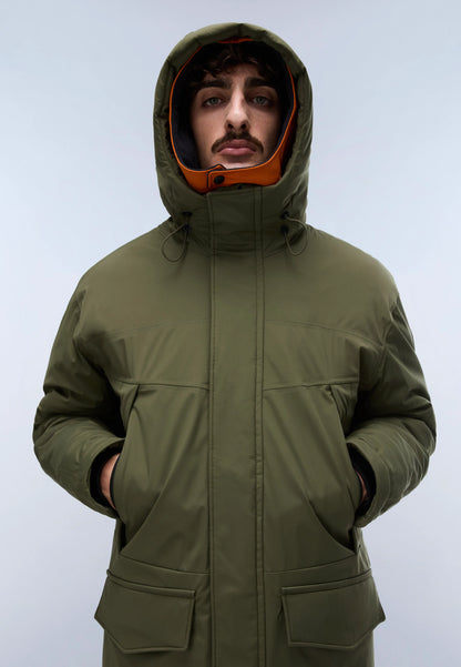 Green Olive Night