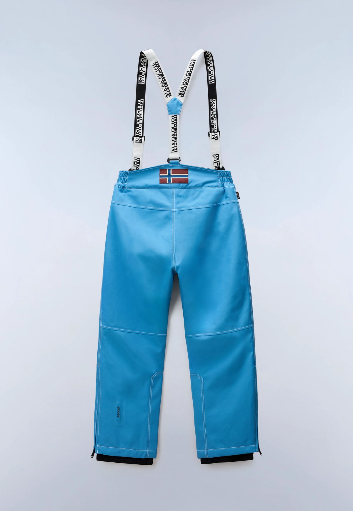 Blue Cyaneus