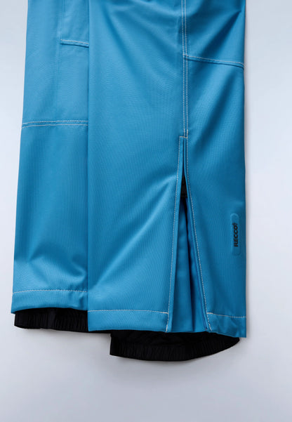 Blue Cyaneus