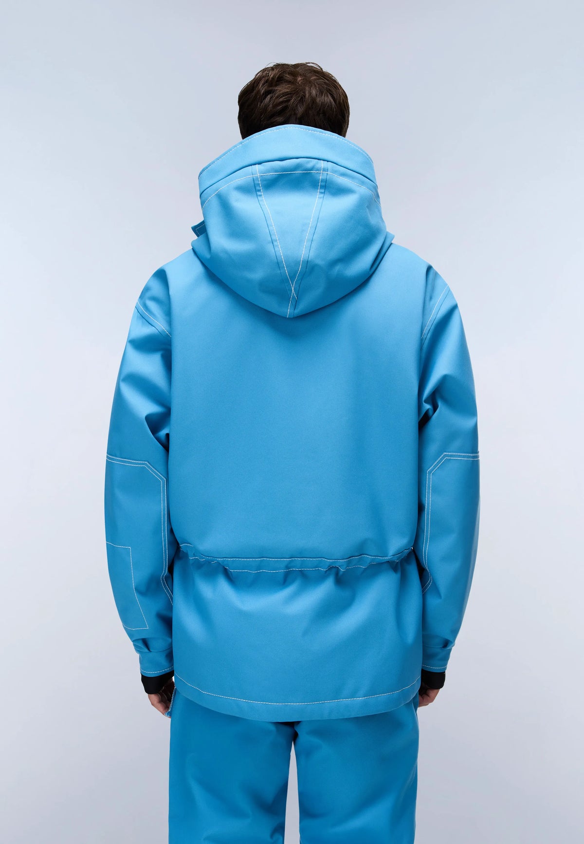 Blue Cyaneus