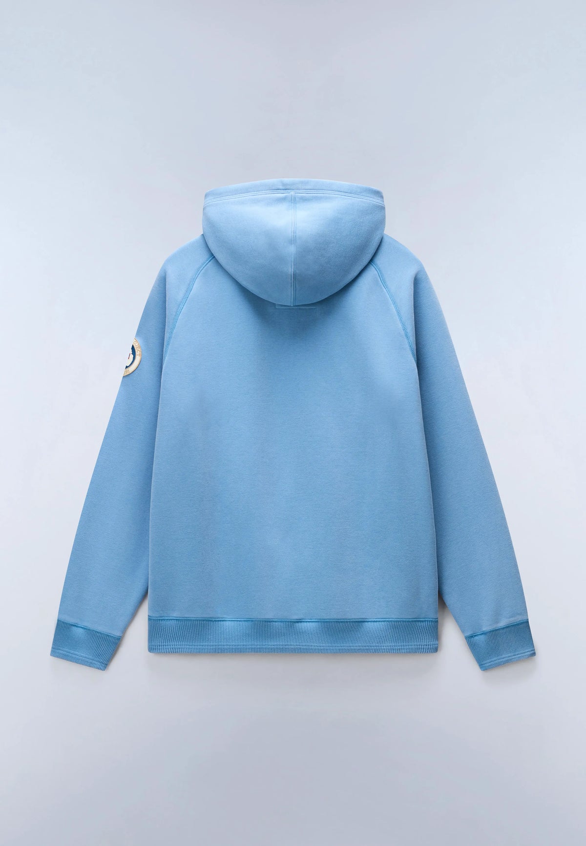 Blue Cyaneus