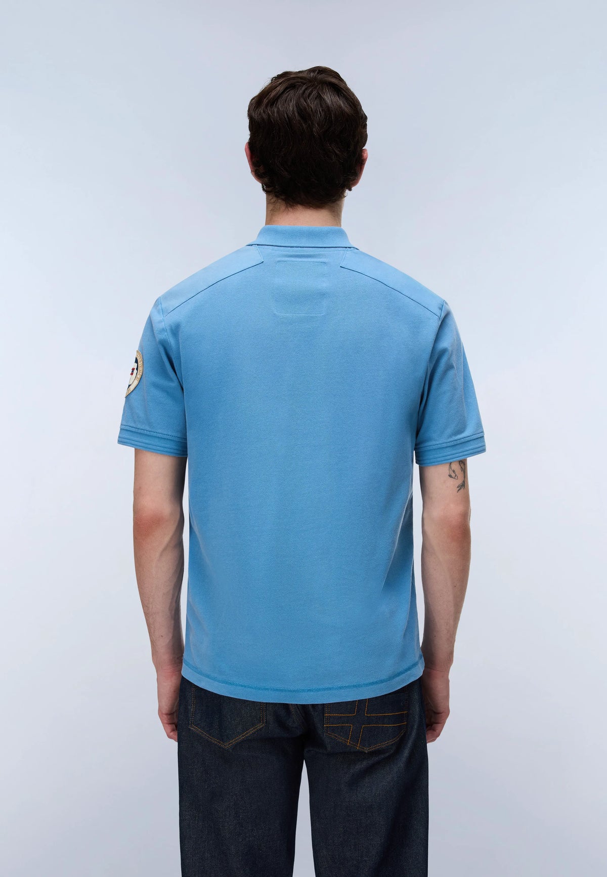 Blue Cyaneus